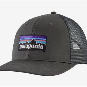 Patagonia Gray Logo Hat